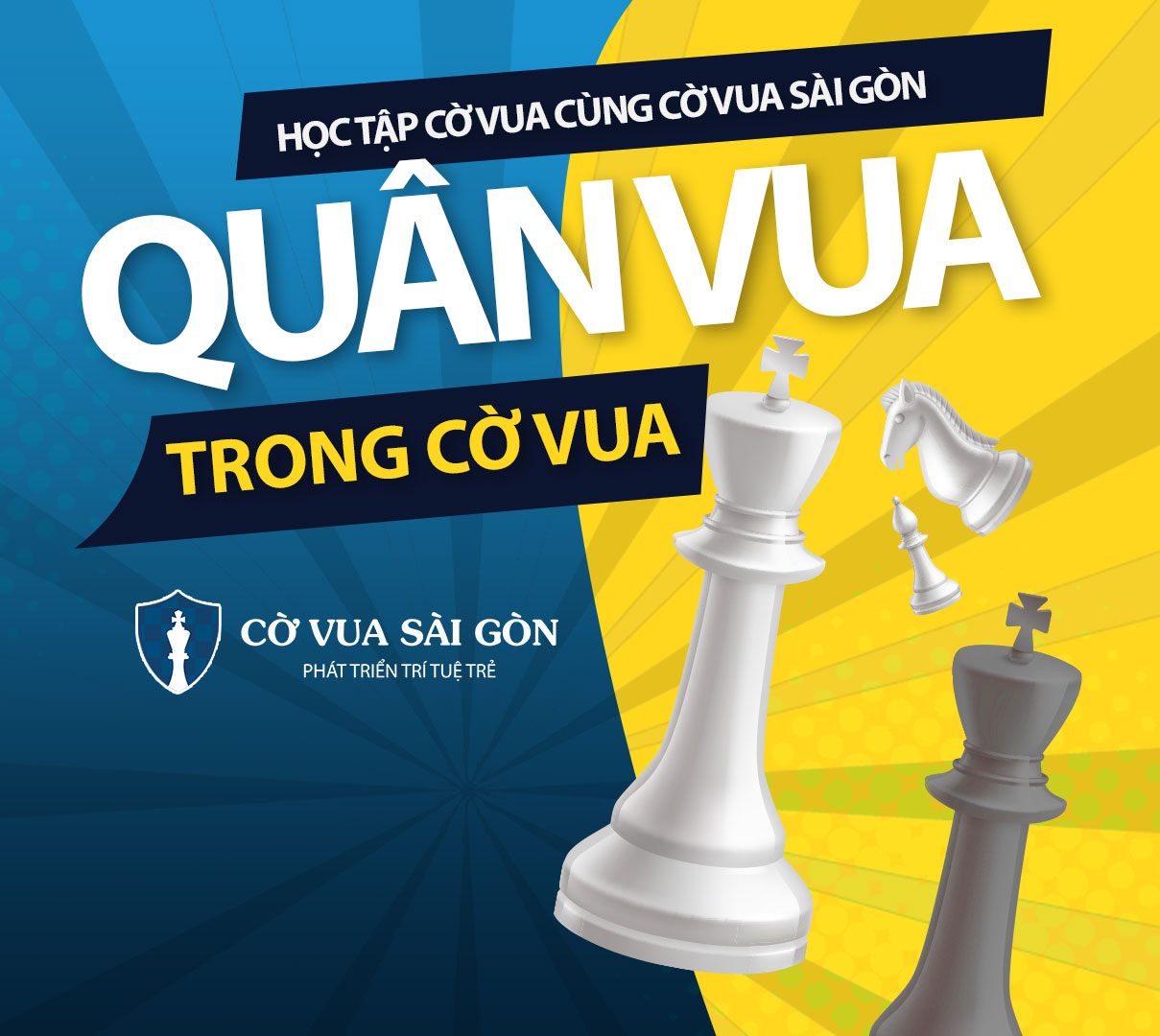 Quân vua trong cờ vua