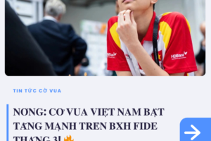 tin tức (14)