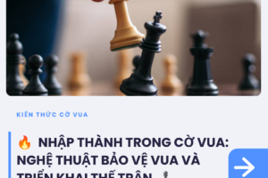 tin tức