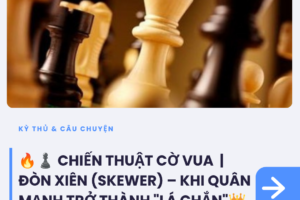 tin tức (2)